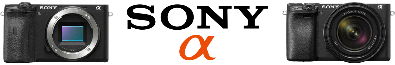 Sony mirrorless logo